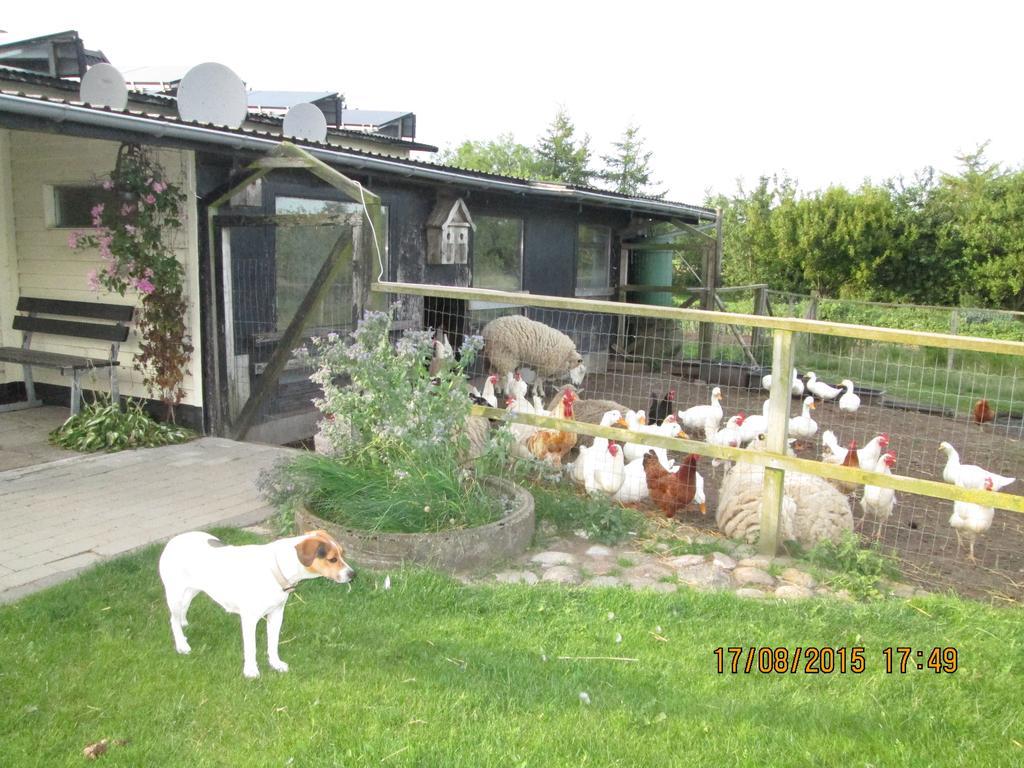 Bakkegarden Homestay Spottrup Экстерьер фото