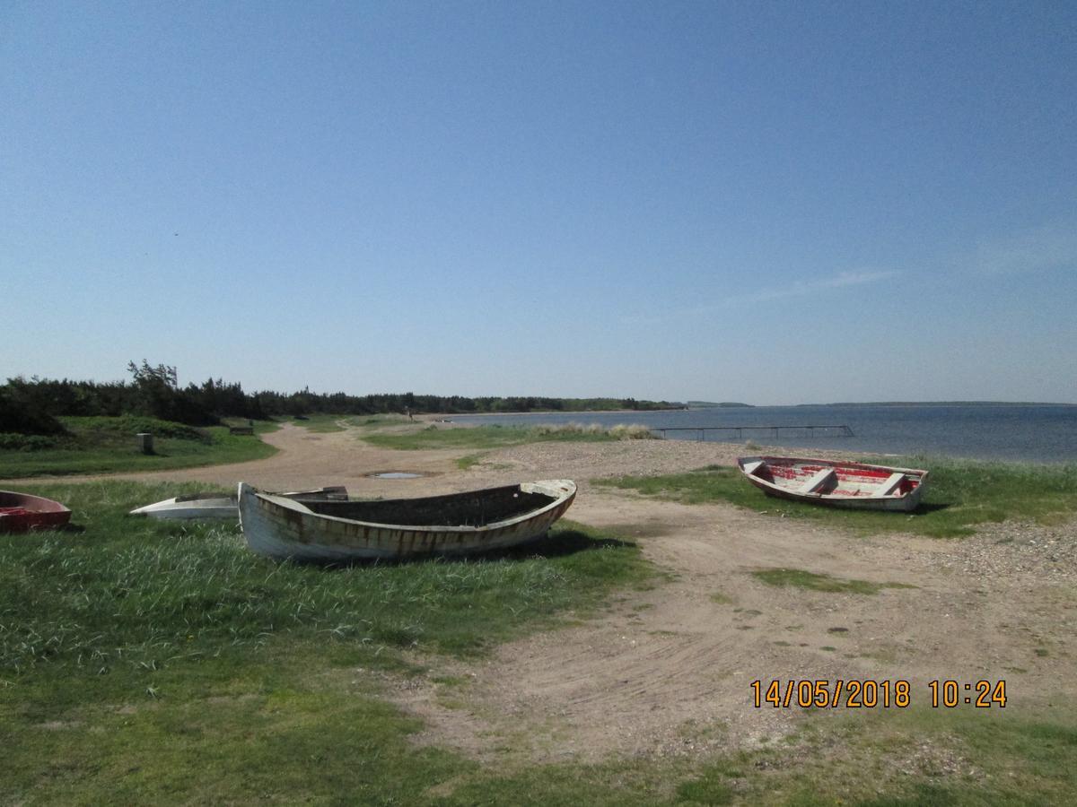 Bakkegarden Homestay Spottrup Экстерьер фото